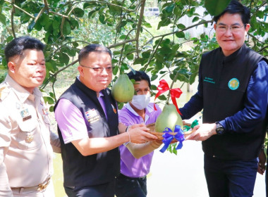 ลงพื้นที่ตรวจเยี่ยมและติดตามการดำเนินงานของศูนย์เรียนรู้การปลูกส้มโอทับทิมสยามบ้านแสงวิมานตำบลคลองน้อย อำเภอปากพนัง จังหวัดนครศรีธรรมราช โดยนายชวกิจจ์ สุวรรณคีรี รองผู้ว่าราชการจังหวัดนครศรีธรรมราช กล่าวต้อนรับพร้อมนายวิศิษฐ์ ศรีสุวรรณ์ อธิบดีกรมส่งเสริม ... พารามิเตอร์รูปภาพ 20